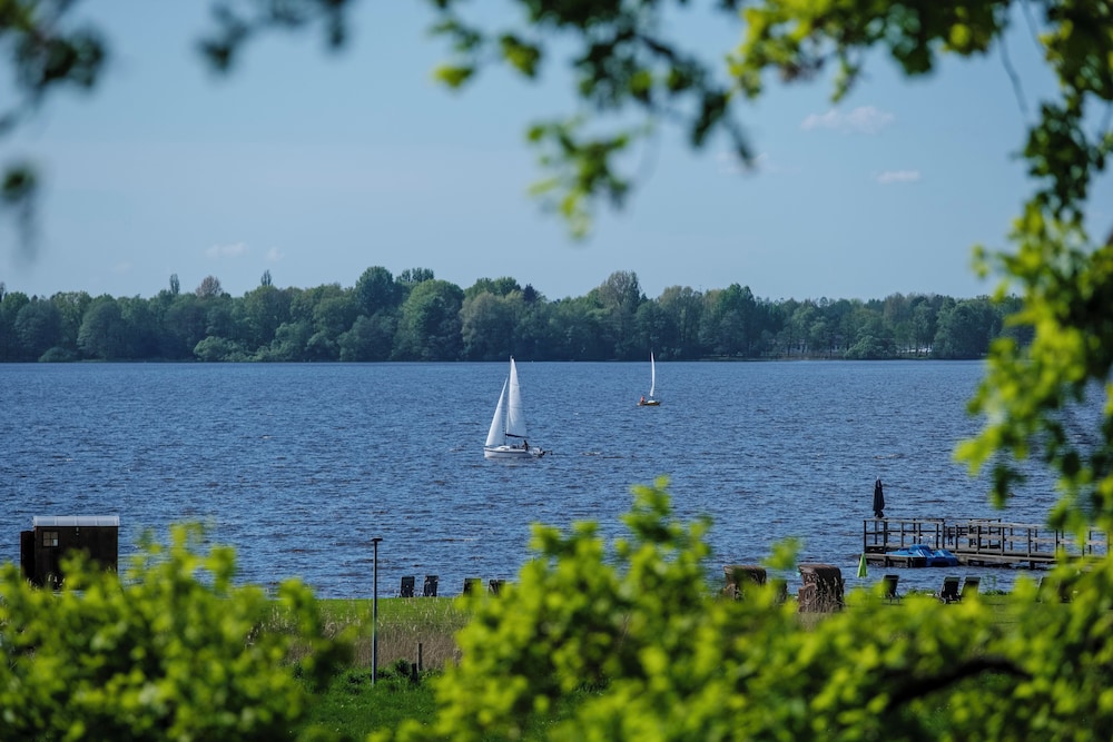 Lake view