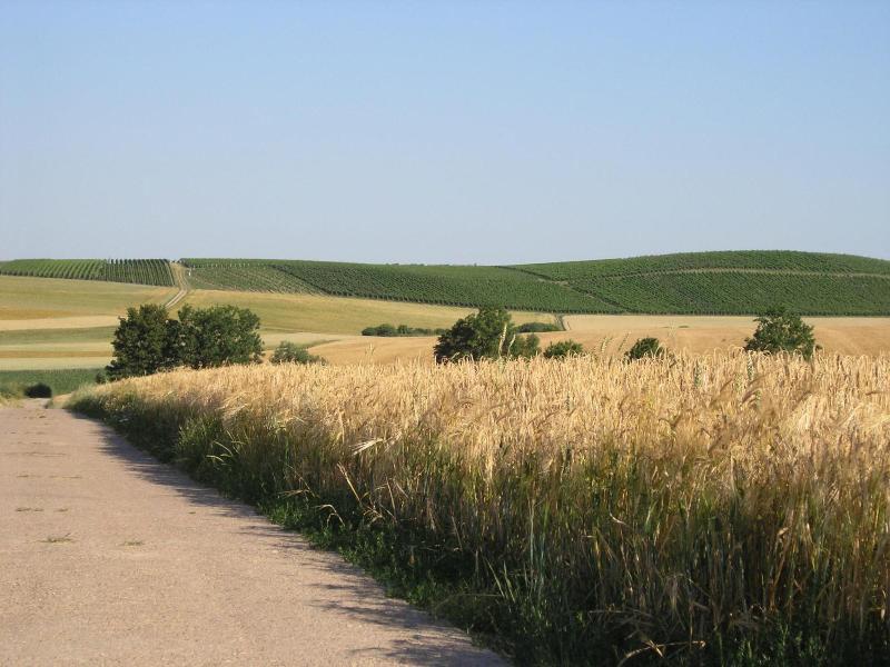 General view