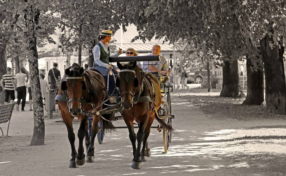 Horseback riding