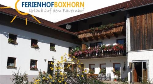 Woferlhof Ferienhof Boxhorn