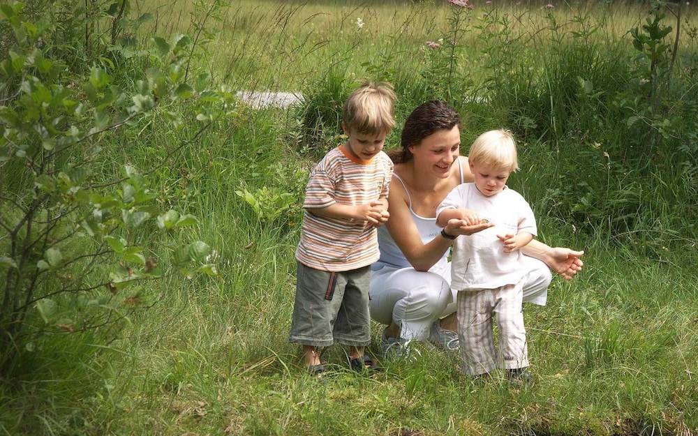 Children's play area - outdoor