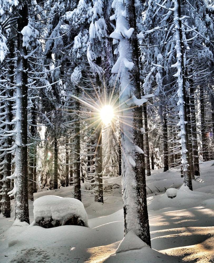 Snowshoeing