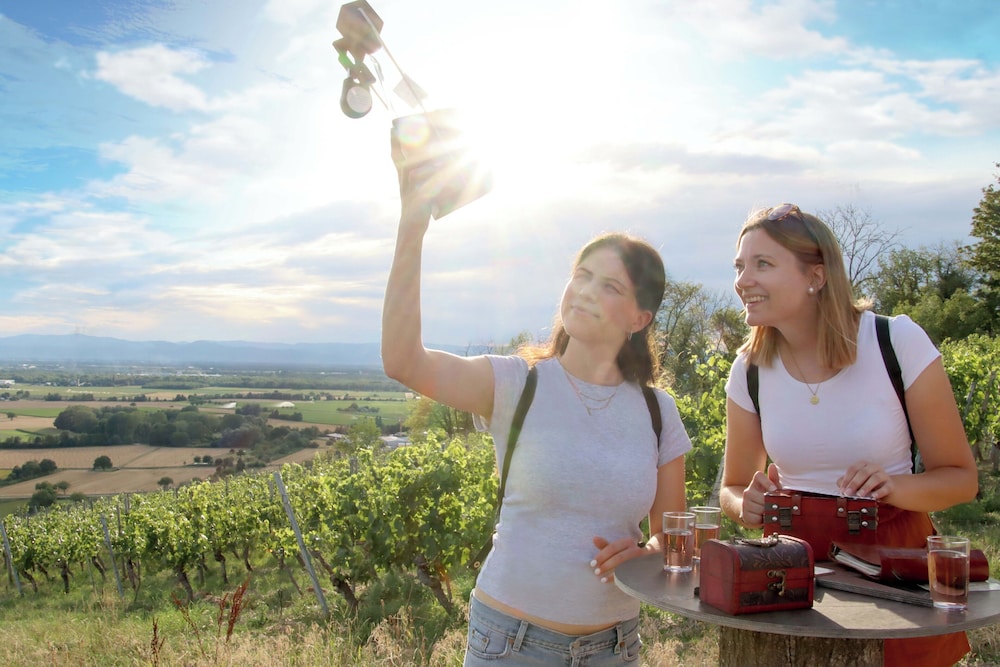 Vineyard