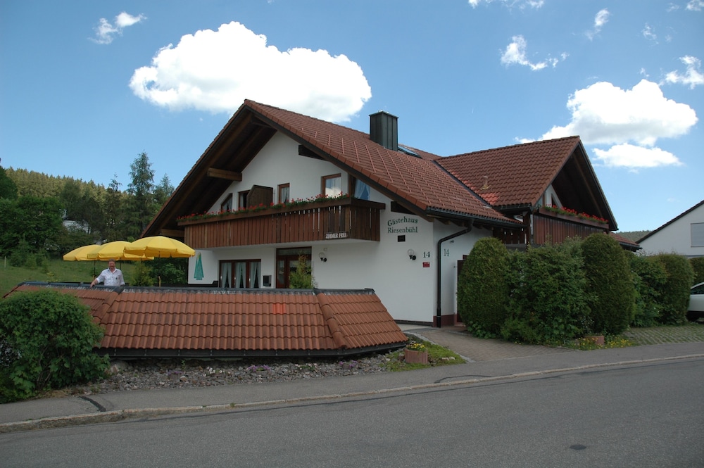 Primary image