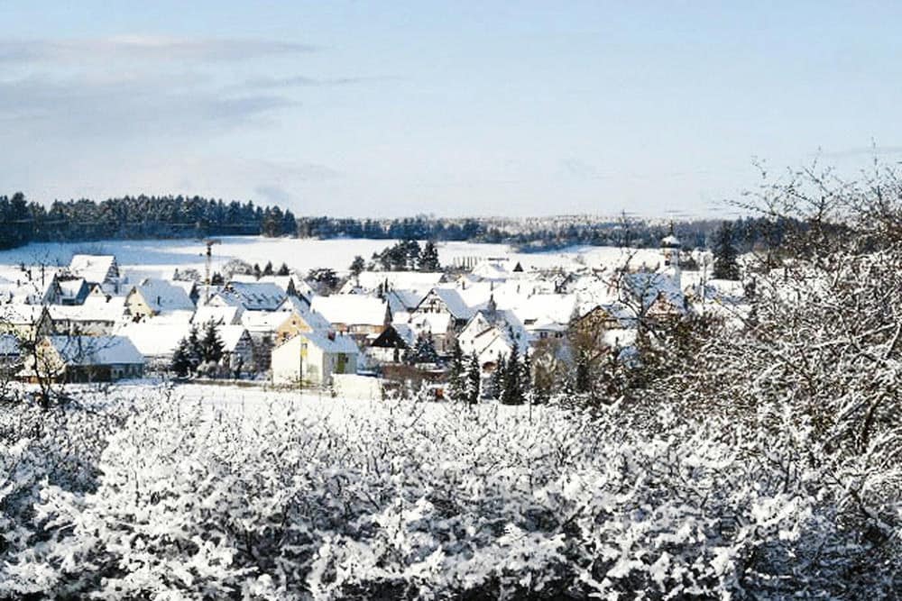 View from property