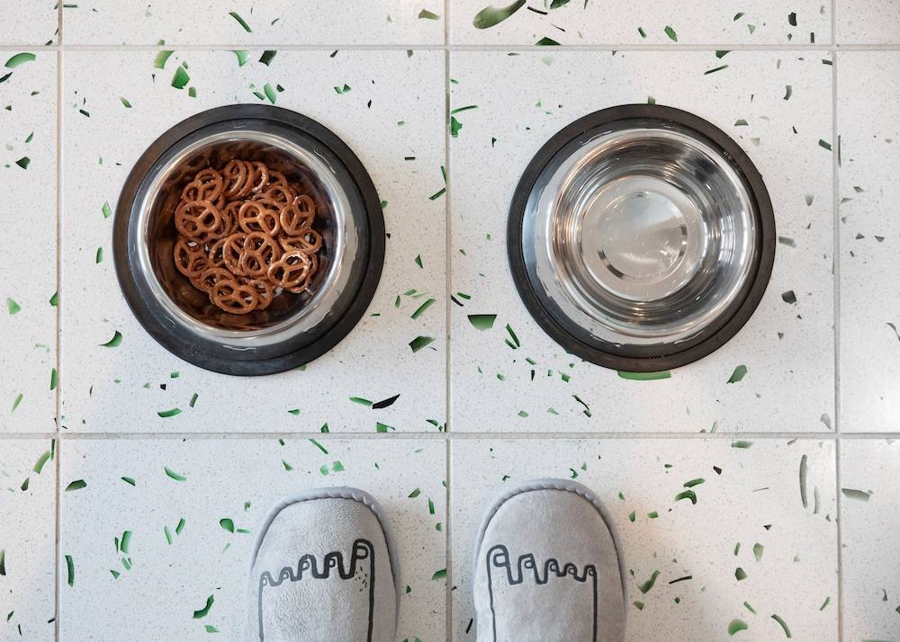 Pet-friendly amenities