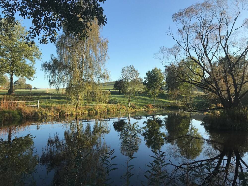 Lake view