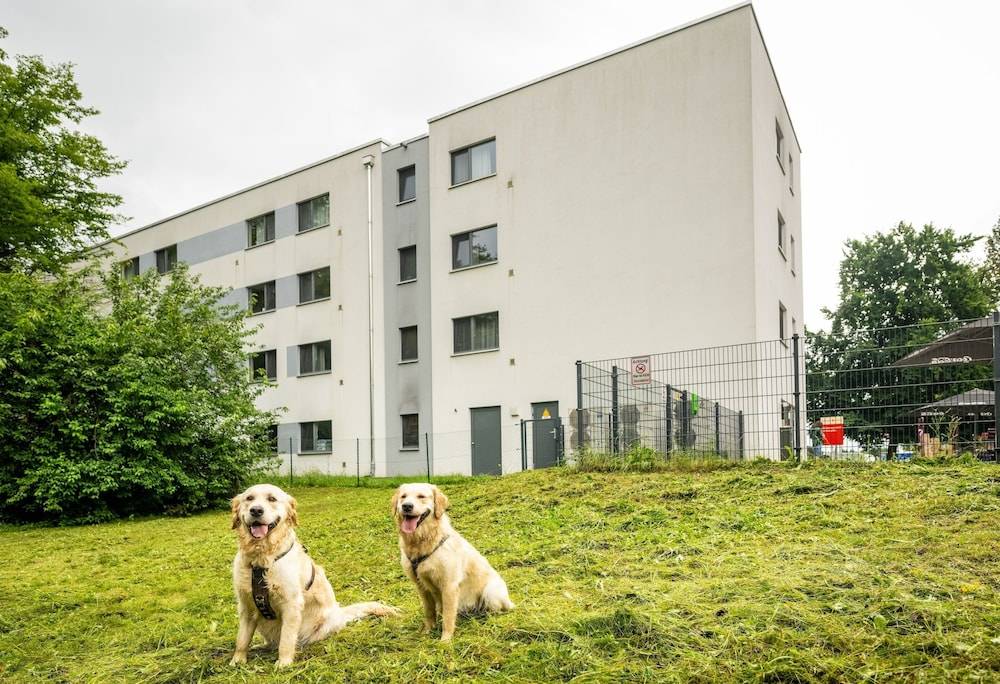 Pet-friendly amenities