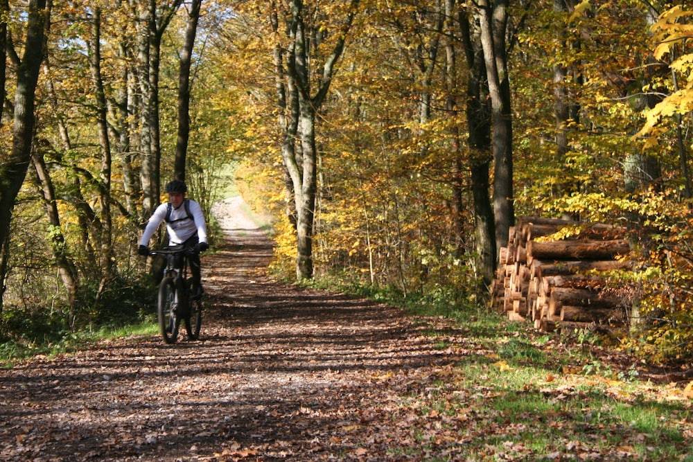 Bicycling