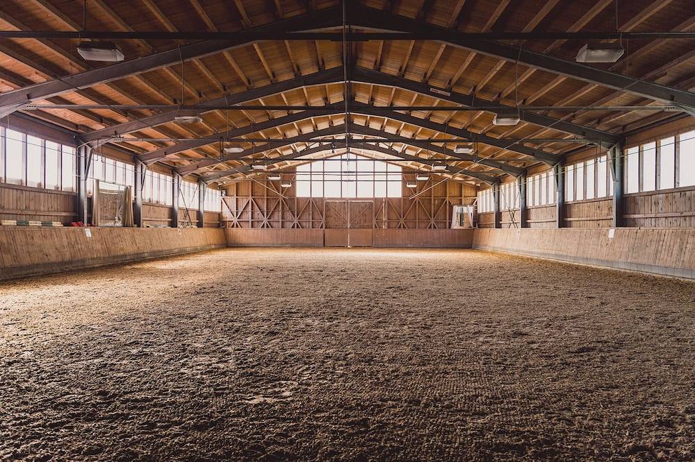 Horseback riding