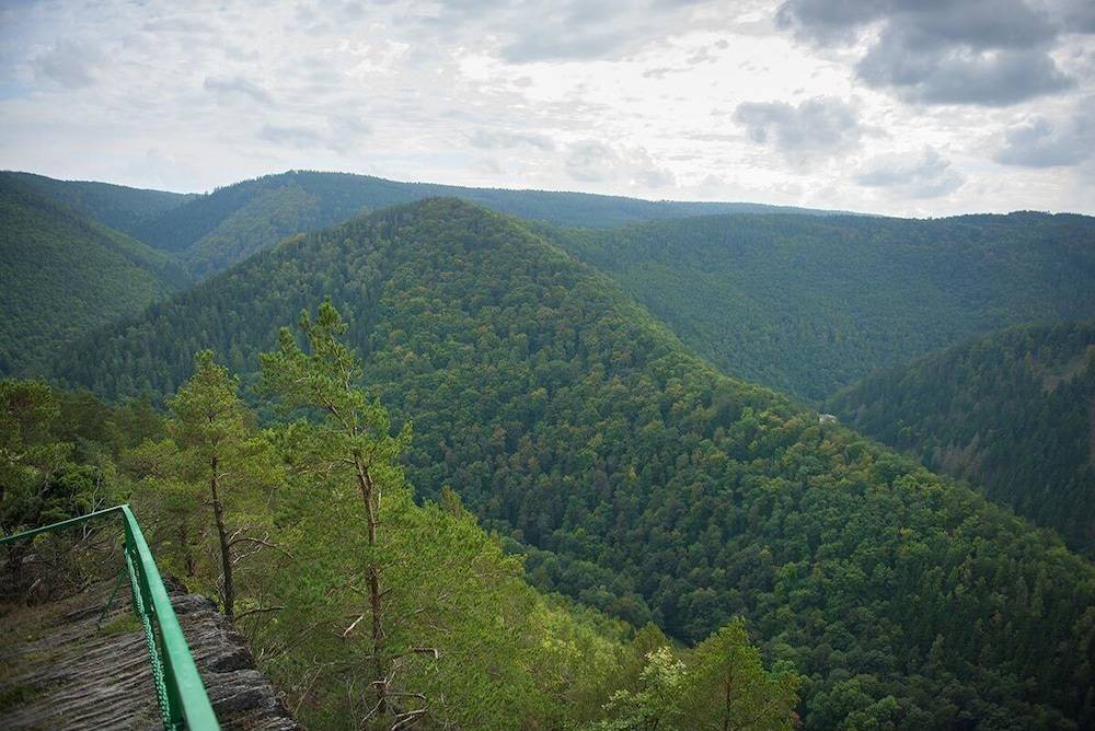 Hiking