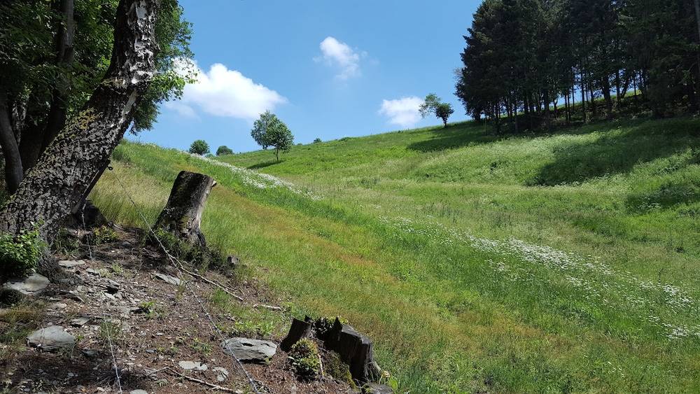 Land view from property