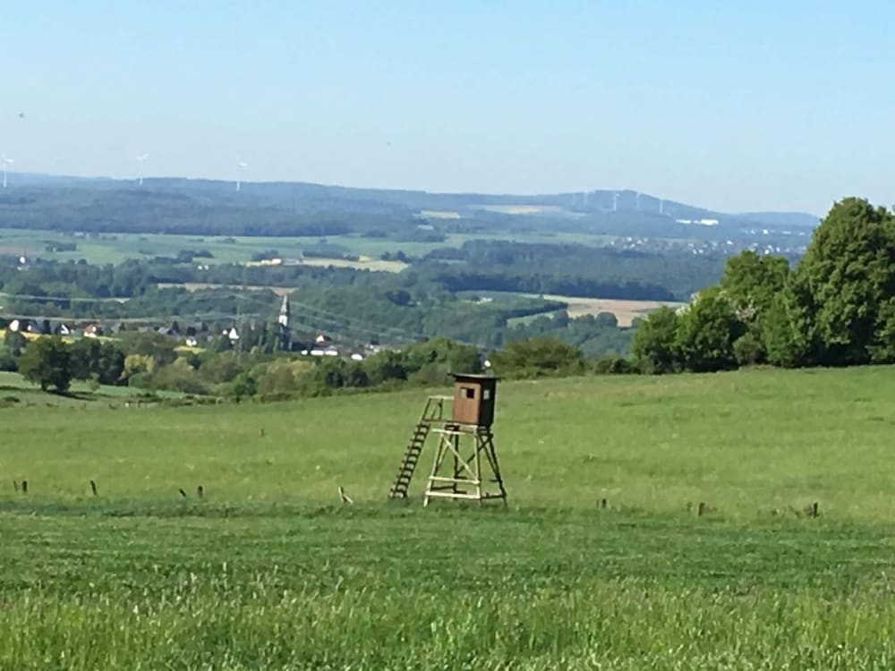 View from property