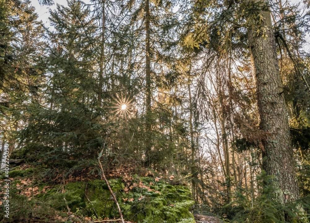 View from property