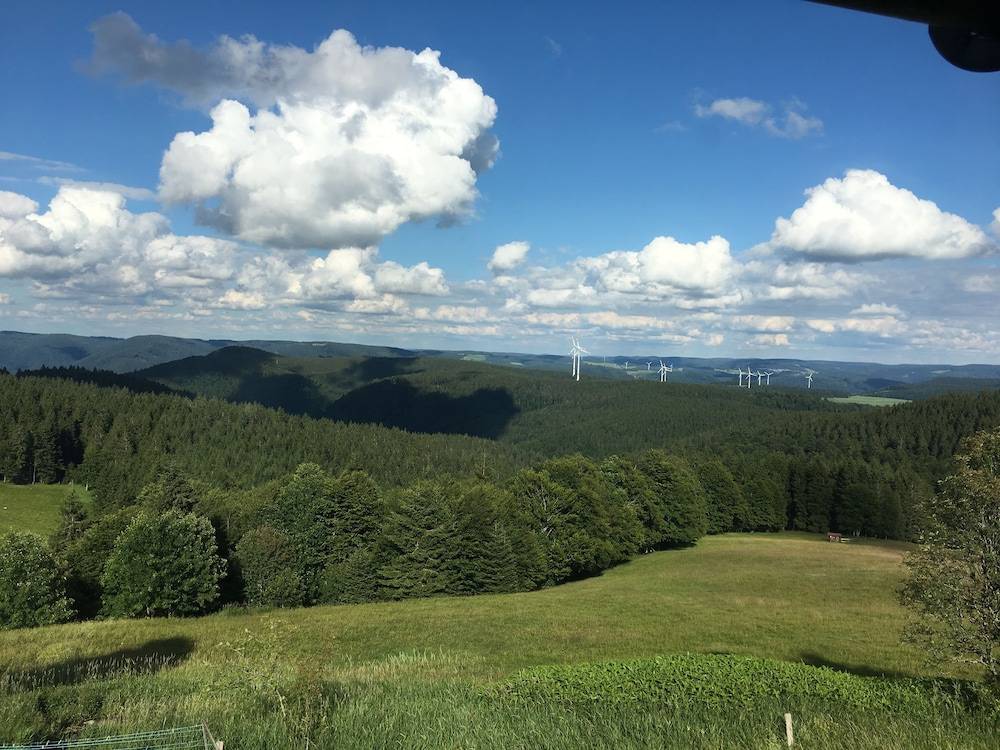 View from property