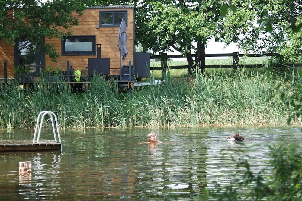 Lake view