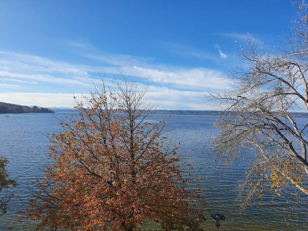 Lake view