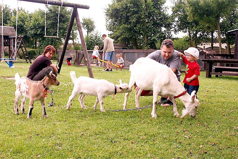 Children's activities