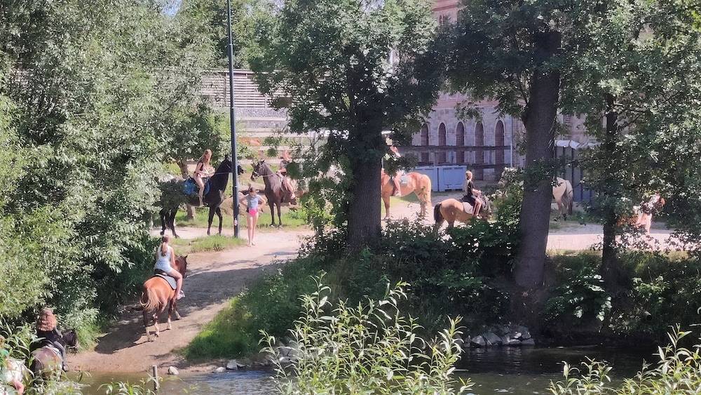 Horseback riding