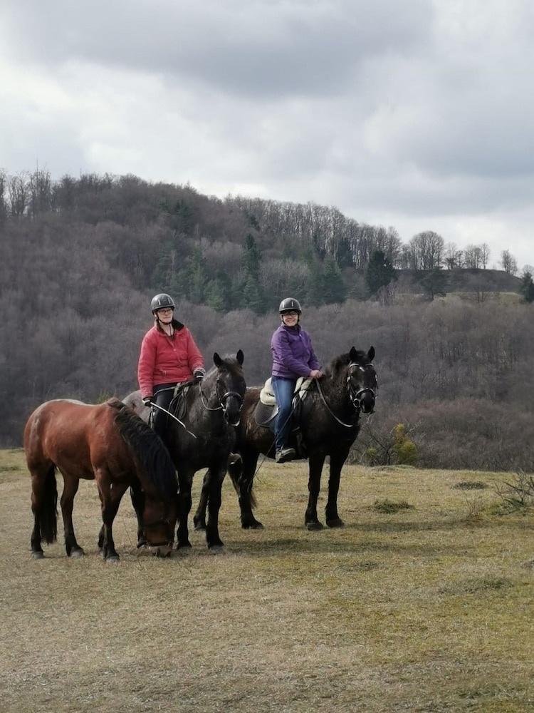 Horseback riding