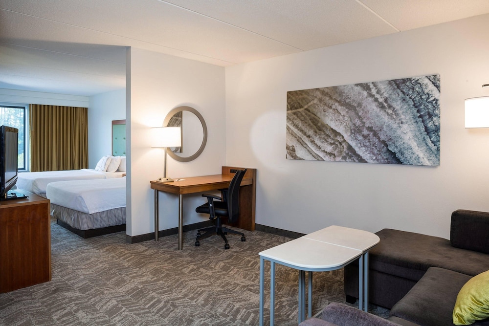 Springhill Suites by Marriott Hampton Coliseum - photo 2
