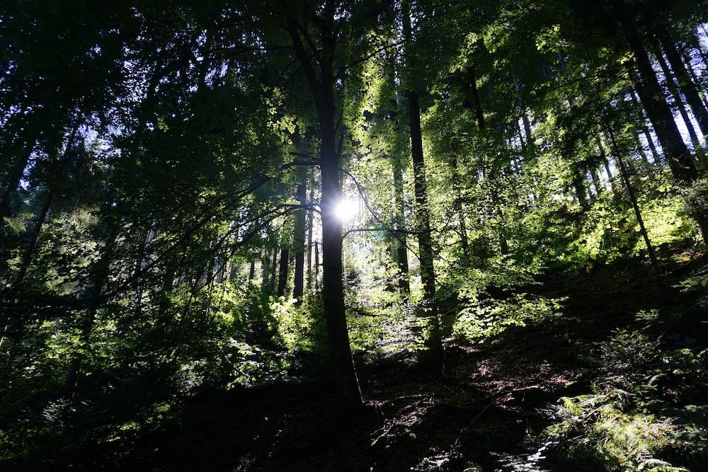 Hiking