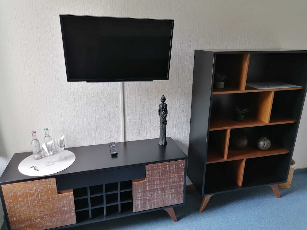Television