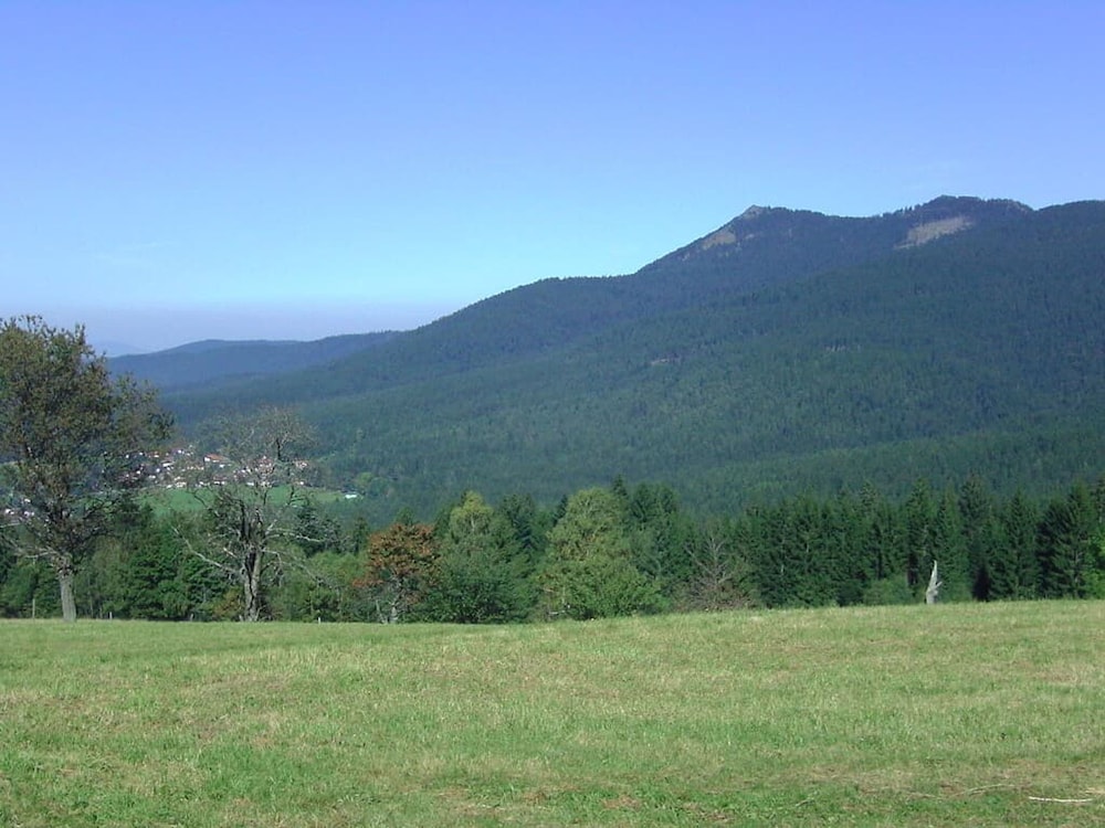 Land view from property