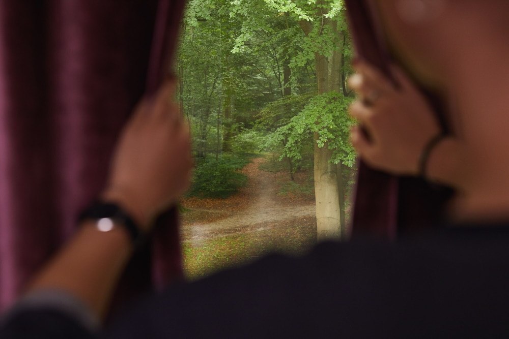 Park view
