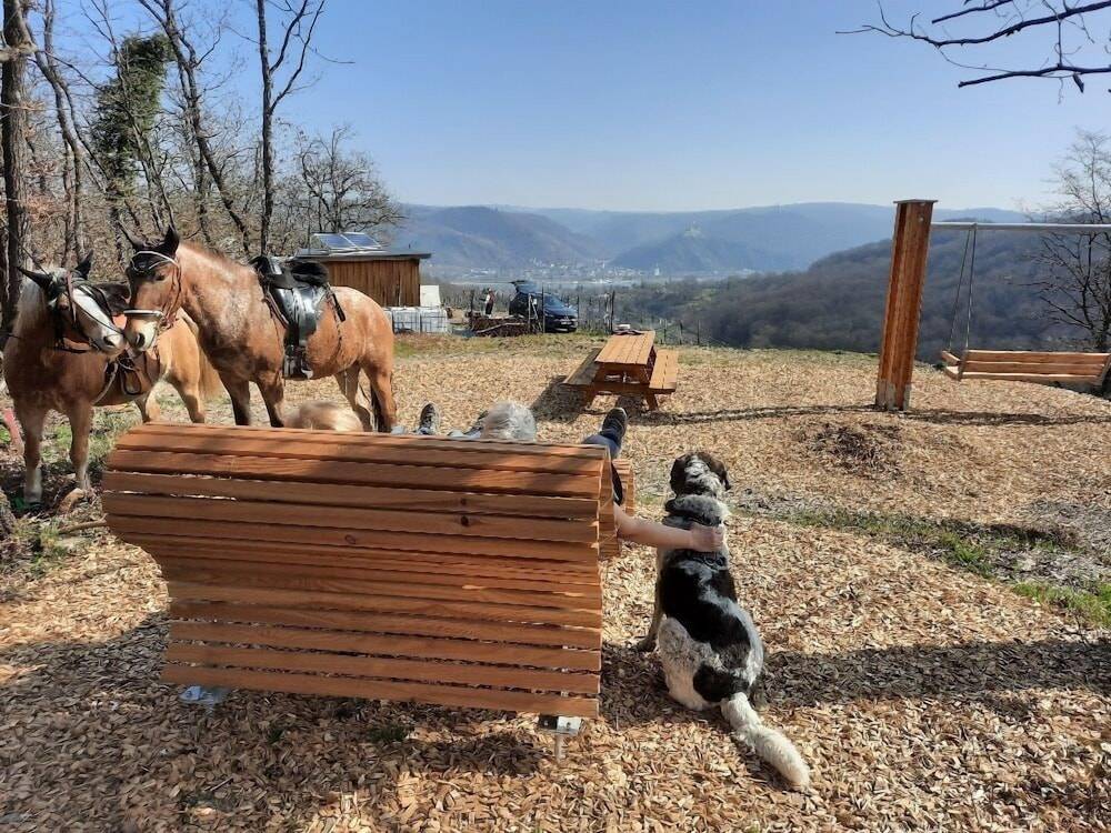 Hiking