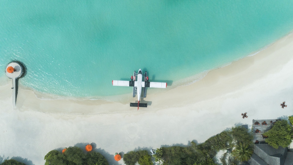 Helicopter/plane tours