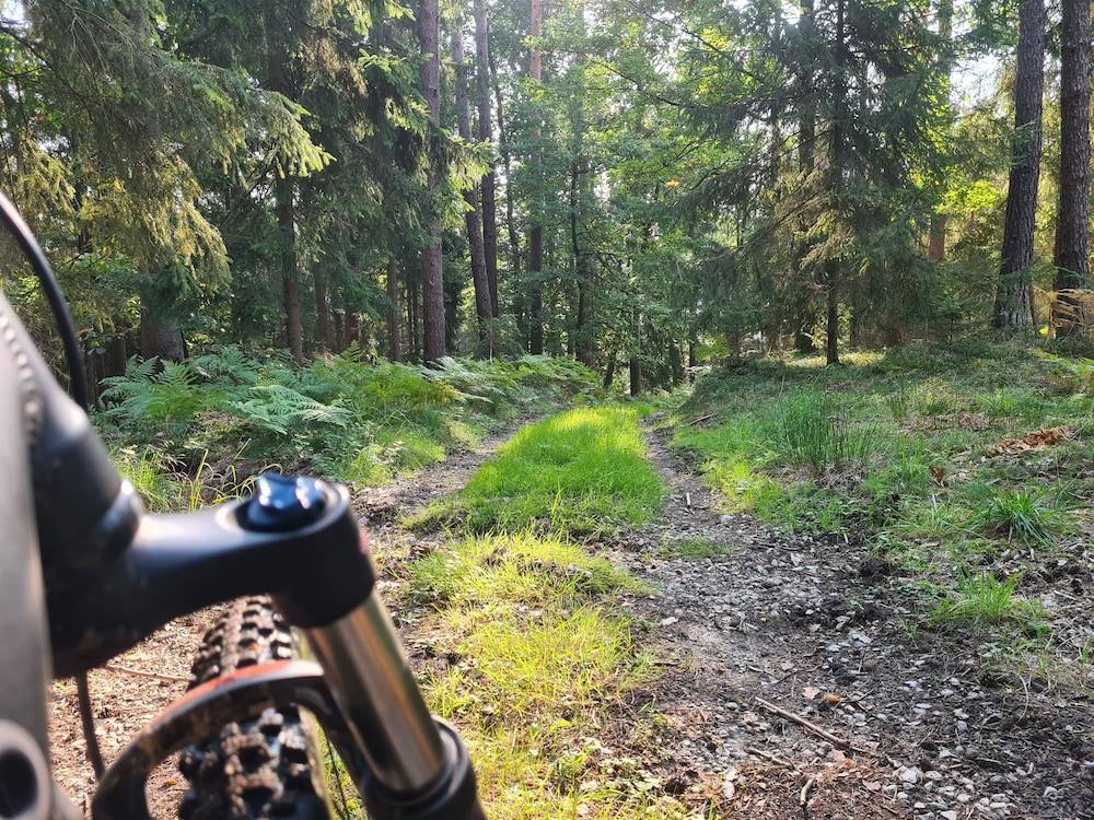 Bicycling