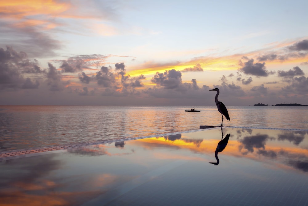 Infinity pool