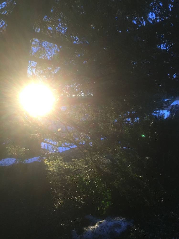 View from property