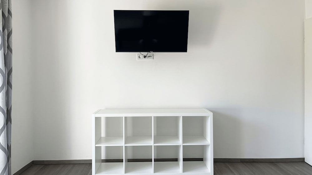 Television
