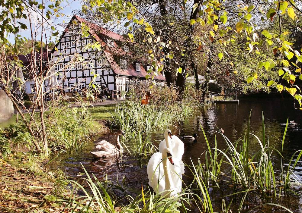 Springbach Mühle Belzig