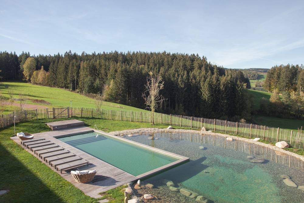 Natural pool