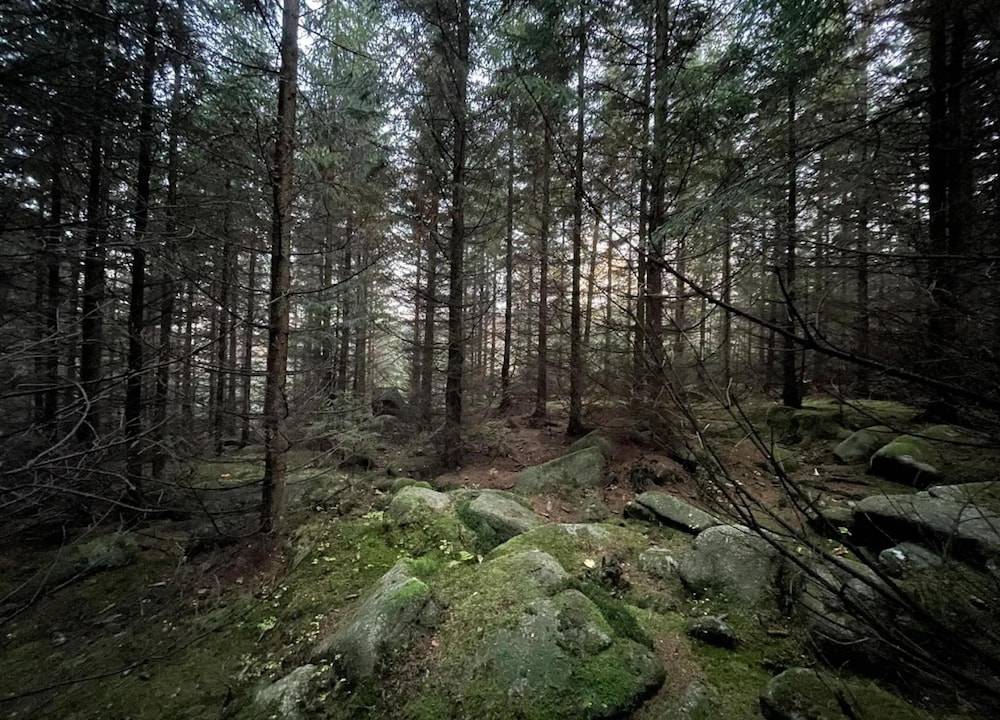View from property