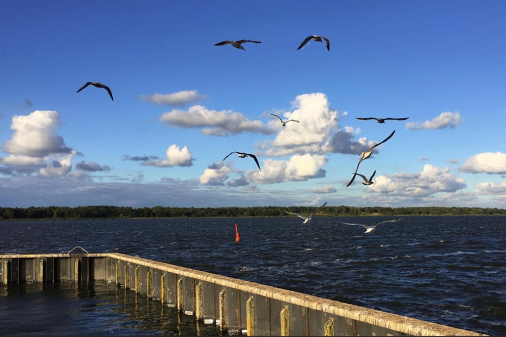 Water view