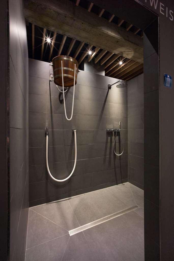 Wellness Shower