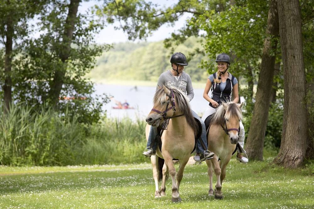 Horseback riding