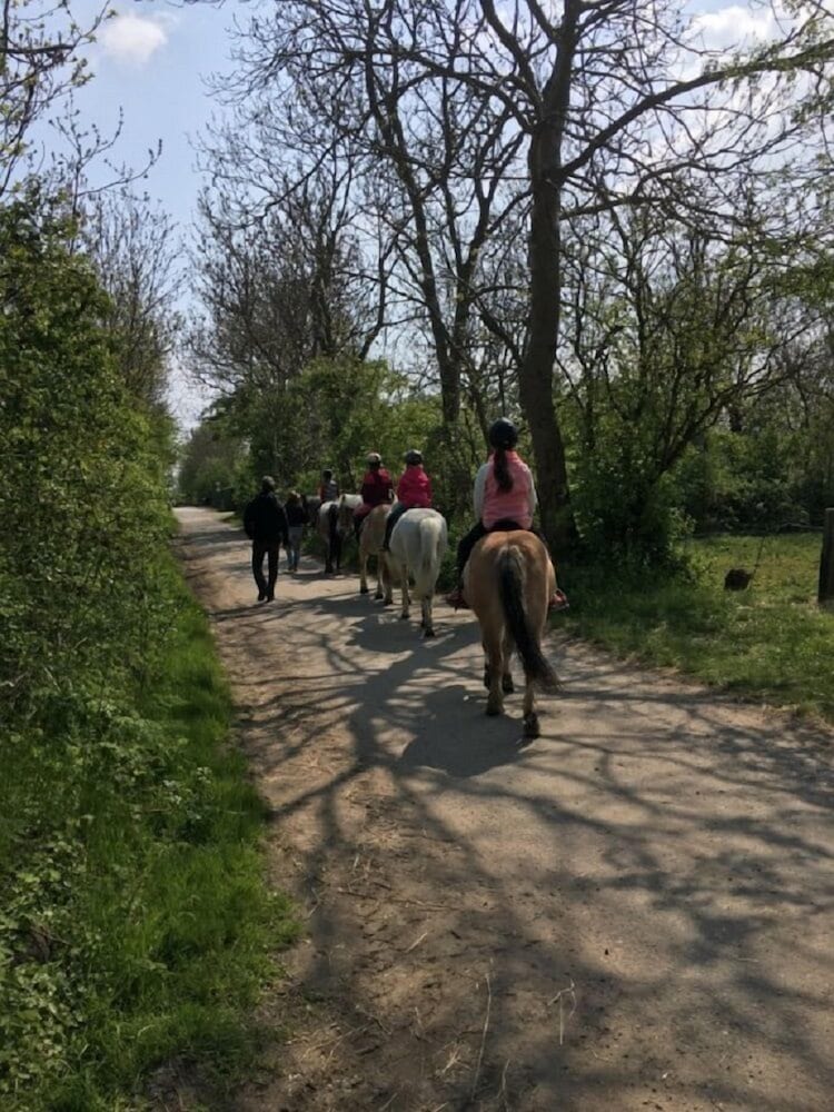 Horseback riding