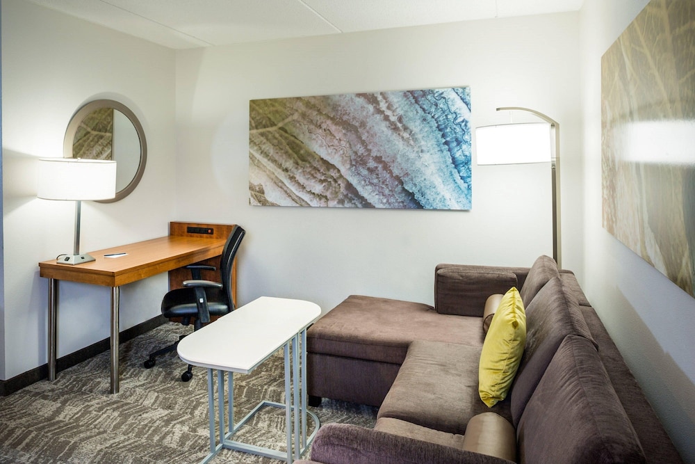 Springhill Suites by Marriott Hampton Coliseum - featured photo