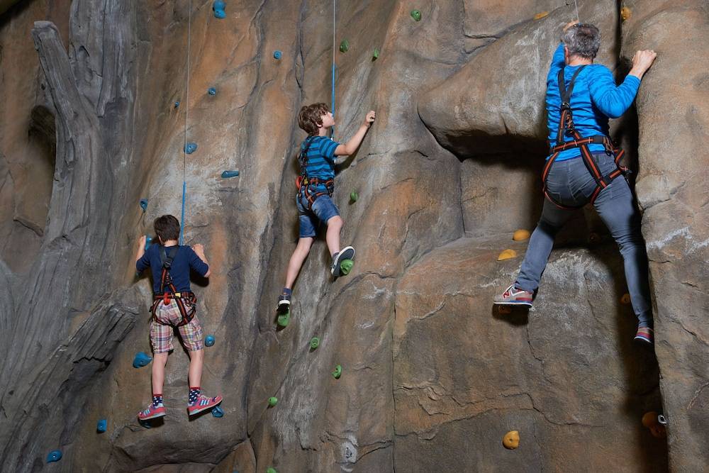 Rock climbing wall - indoor