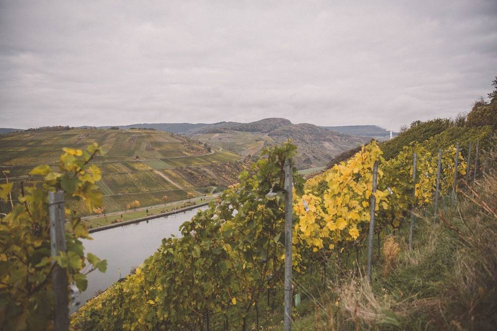 Winery