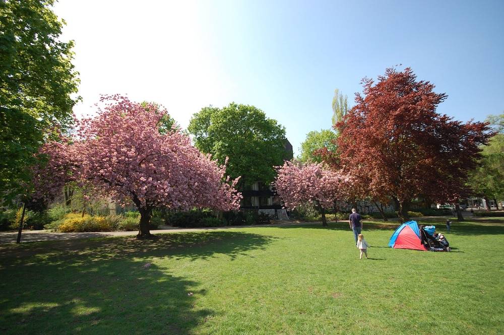Park view