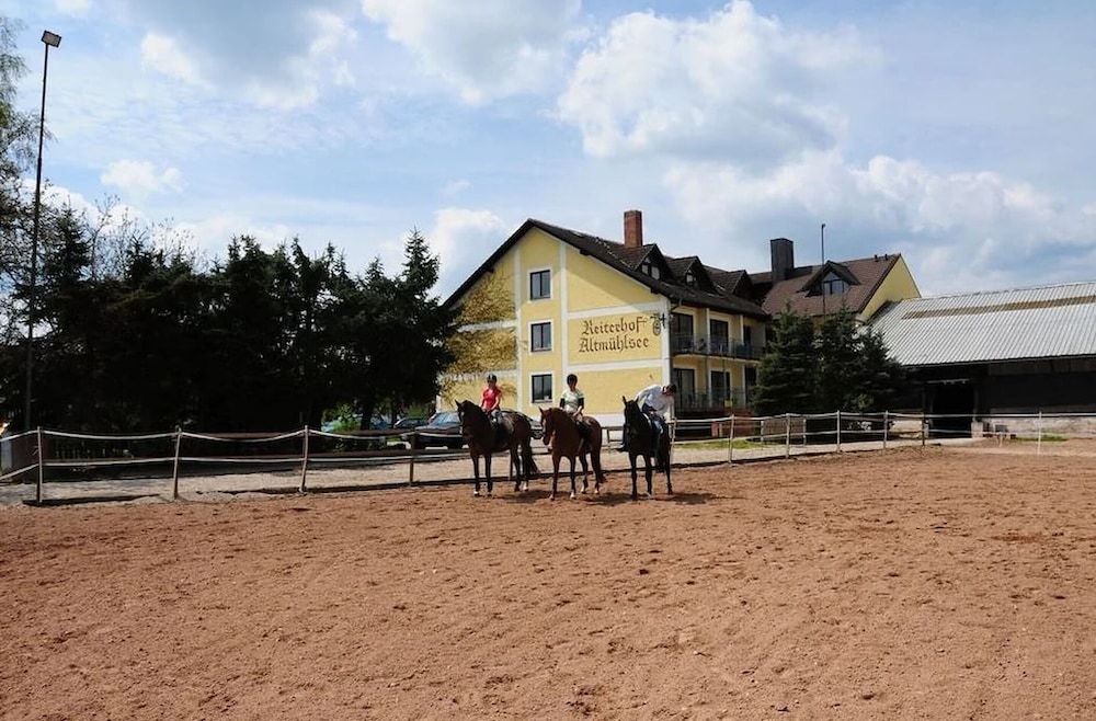 Horseback riding