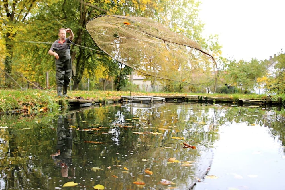 Fishing