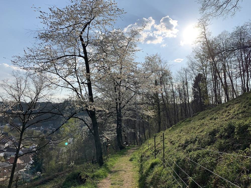 Hiking
