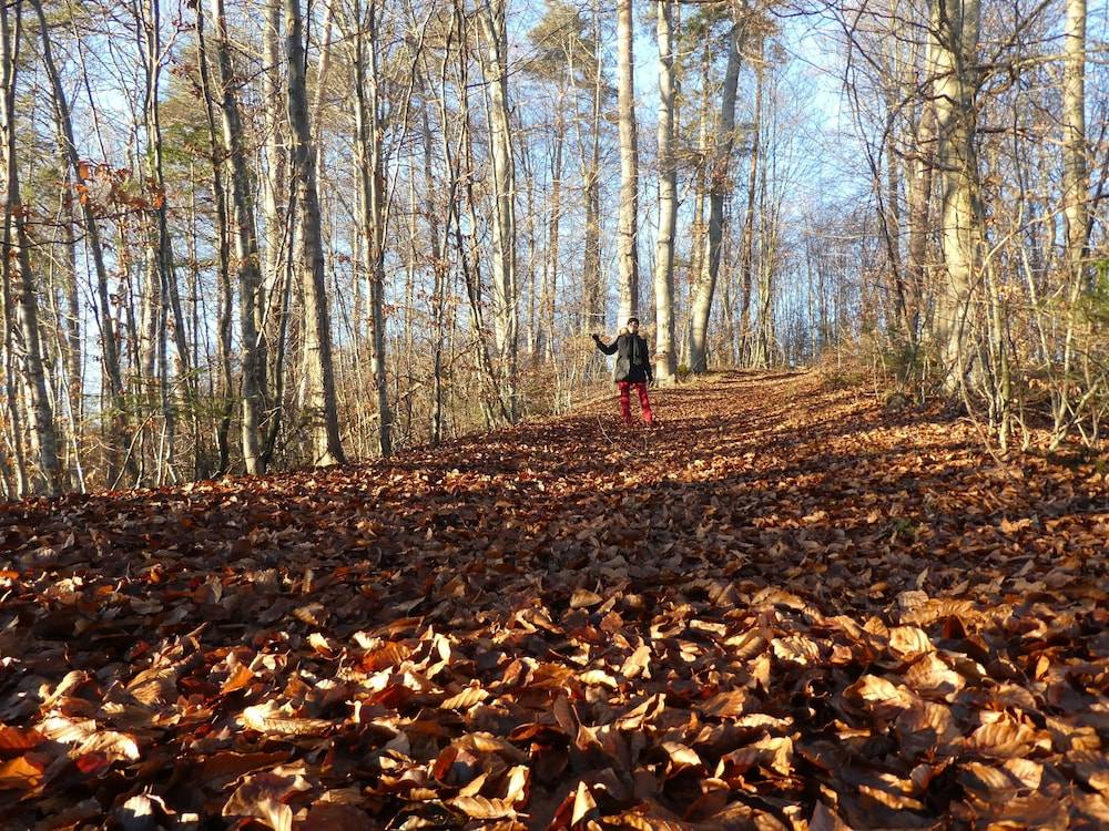 Hiking